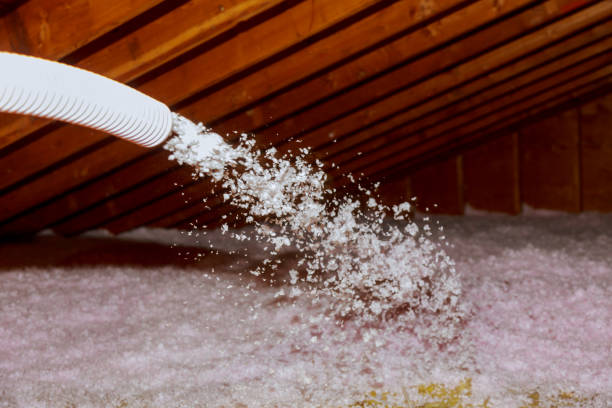 Best DIY Insulation Kits and Guidance in Natchitoches, LA