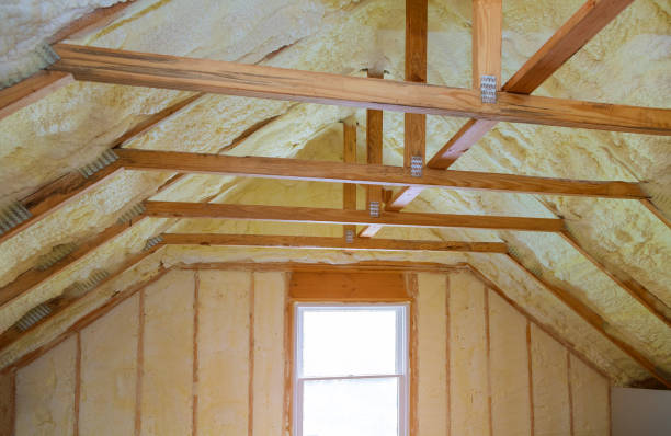 Best Specialized Insulation Services in Natchitoches, LA