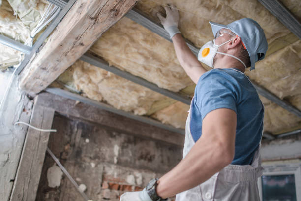 Best Eco-Friendly Insulation in Natchitoches, LA