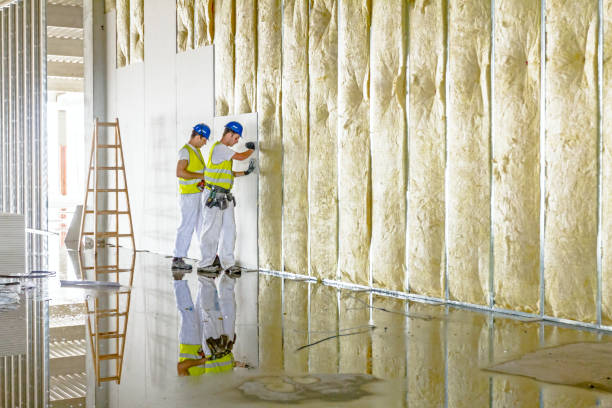 Best Spray Foam Insulation in Natchitoches, LA